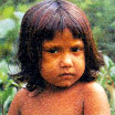 facciamo vivere l'amazzonia